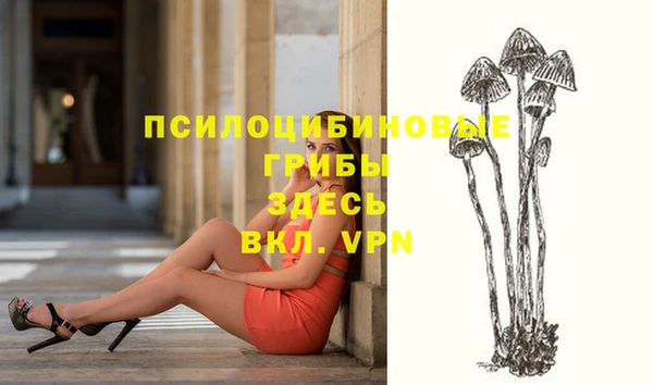 стаф Сафоново