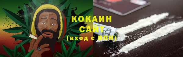 стаф Сафоново