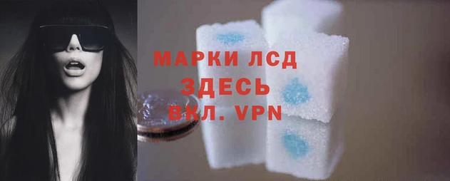 стаф Сафоново