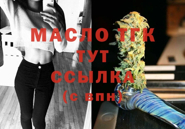 молекула духа Саяногорск