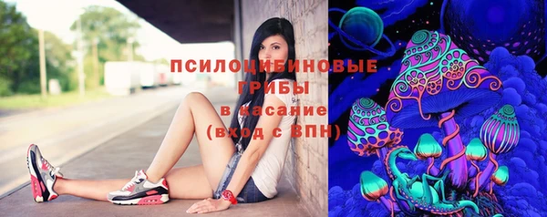стаф Сафоново