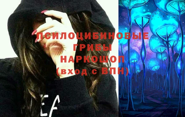 молекула духа Саяногорск