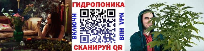 Купить  Алатырь  Каннабис OG Kush